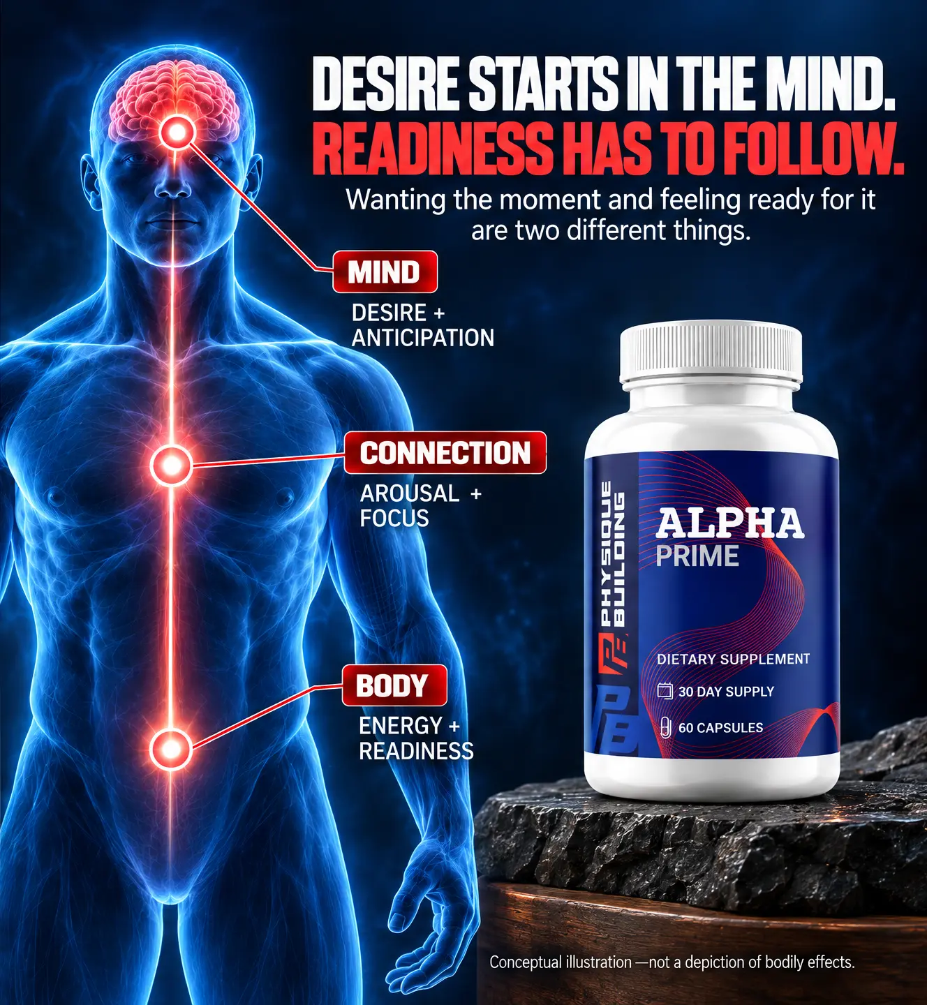 Alpha Prime supports desire from the mind with readiness and energy through the body